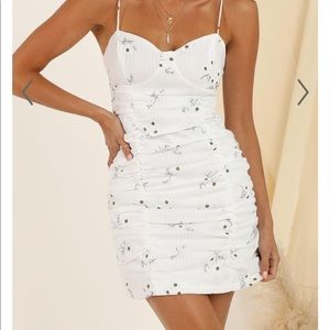 Showpo Dress